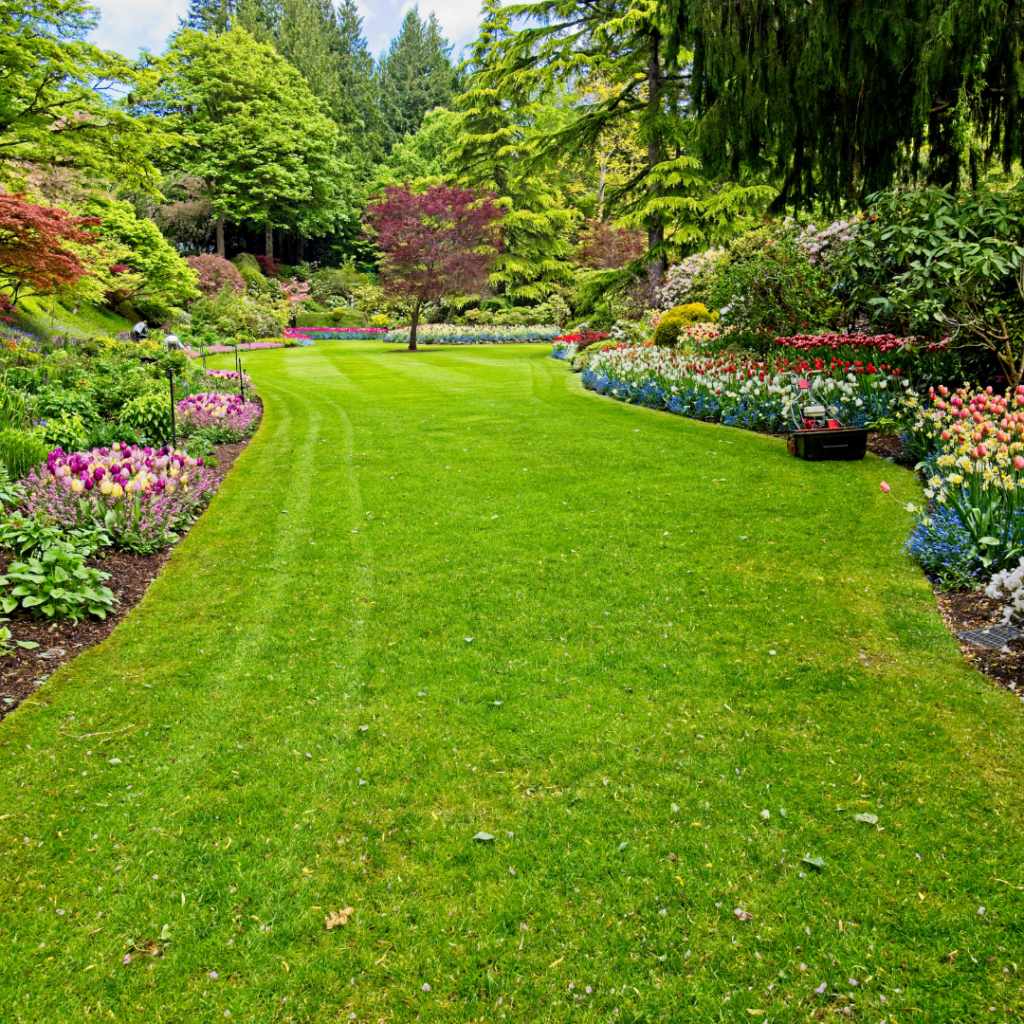 h Progettista di giardini a Milano